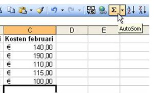 Excel boekhouding fouten voorkomen door formules, excel berekeningen, sorteren, filteren etc.